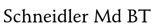 Schneidler Md BT