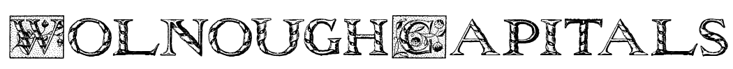 WolnoughCapitals Font Image