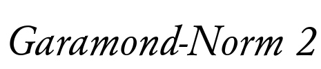 Garamond-Norm 2