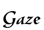 Gaze