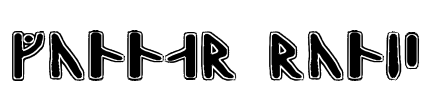 Gunnar Runic