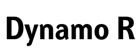 Dynamo R
