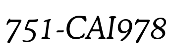 751-CAI978