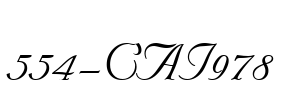 554-CAI978