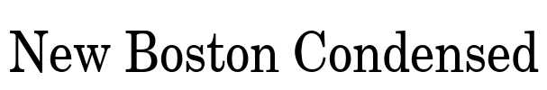 New Boston Condensed Font Image