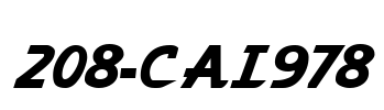 208-CAI978 Font Image
