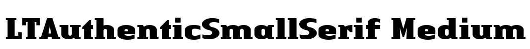 LTAuthenticSmallSerif Medium