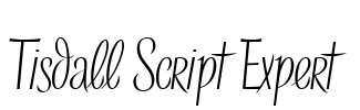 Tisdall Script Expert Font Image