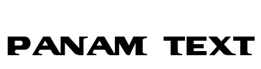 PanAm Text