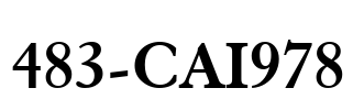 483-CAI978 Font Image