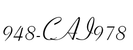 948-CAI978