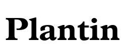 Plantin