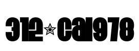 312-CAI978