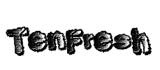 TenFresh Font Image