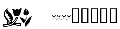 KR Tulips Font Image