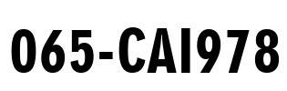 065-CAI978 Font Image