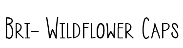 Bri- Wildflower Caps
