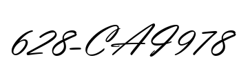 628-CAI978