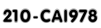 210-CAI978