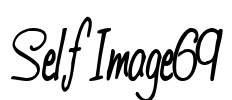 SelfImage69 Font Image