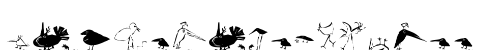 SaulsRandomBirds