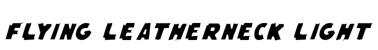 Flying Leatherneck Light
