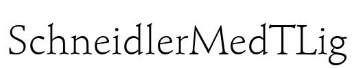 SchneidlerMedTLig Font Image