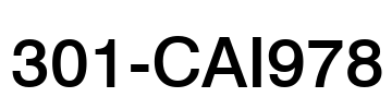 301-CAI978