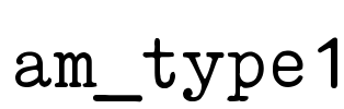 am_type1