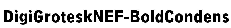 DigiGroteskNEF-BoldCondens Font Image