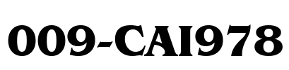 009-CAI978 Font Image