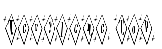 Terylene Top