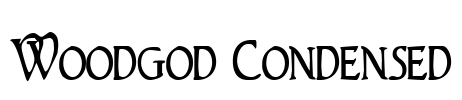Woodgod Condensed Font Image
