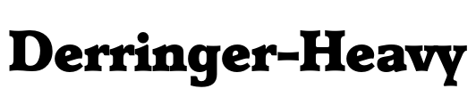 Derringer-Heavy