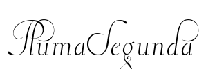 PlumaSegunda