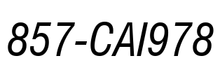 857-CAI978
