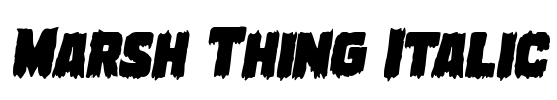Marsh Thing Italic Font Image