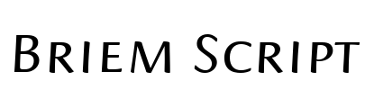 Briem Script Font Image