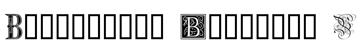Ornamental Initials B Font Image