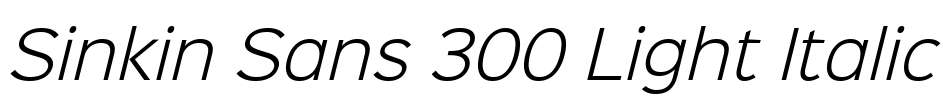 Sinkin Sans 300 Light Italic