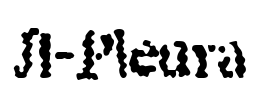 JI-Pleura Font Image