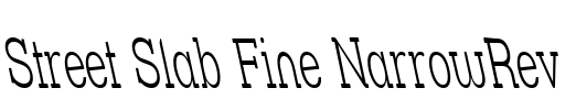 Street Slab Fine NarrowRev