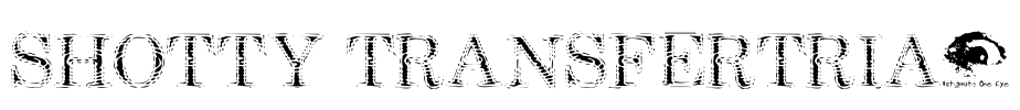Shotty TransferTrial Font Image