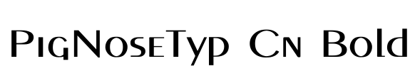 PigNoseTyp Cn Bold