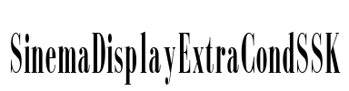 SinemaDisplayExtraCondSSK