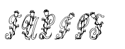Tulips  Font Image