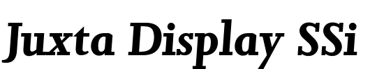 Juxta Display SSi