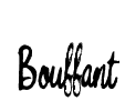 Bouffant