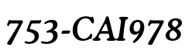 753-CAI978