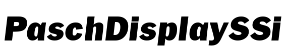 PaschDisplaySSi Font Image